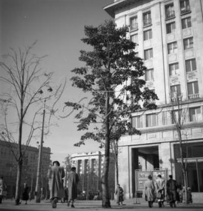 Tablica ogłoszeniowa przy budynku Pl. Konstytucji 6 w 1954 r.
